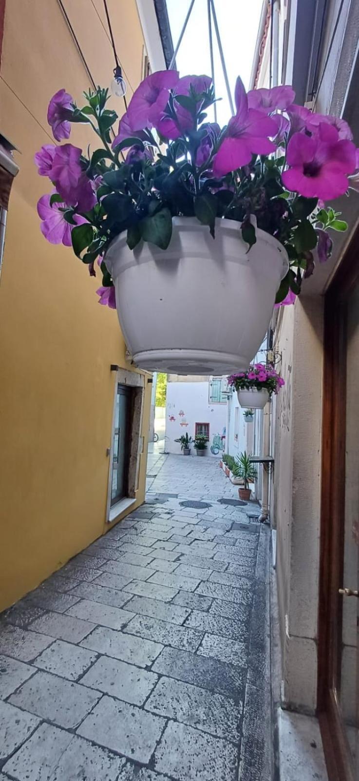 Townhouse Sea View Villa Zadar Dış mekan fotoğraf